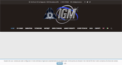 Desktop Screenshot of igminerals.it